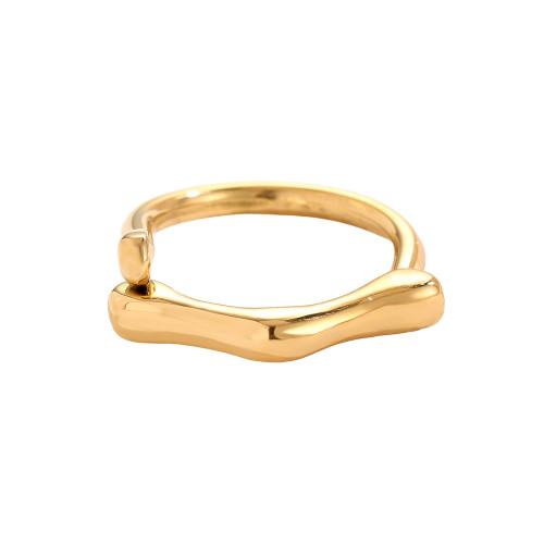 Special Edelstahl Ring